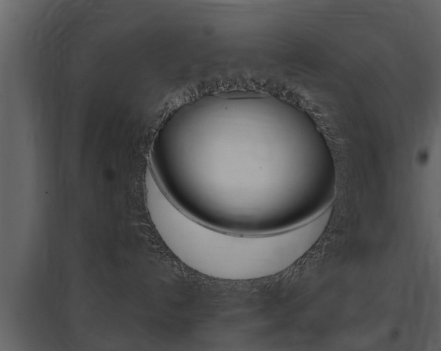 X0000097840192200803140843