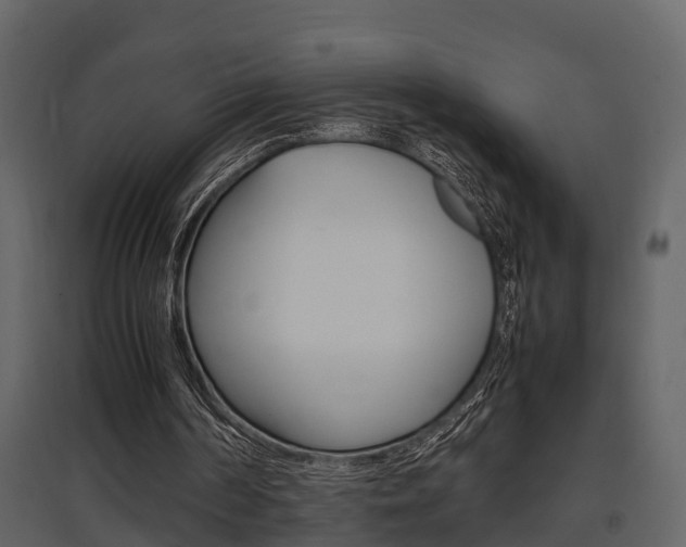 X0000097840194200803140842