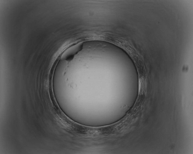 X0000097840195200803140842