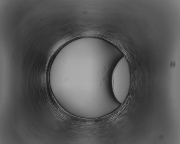X0000097840196200803140842