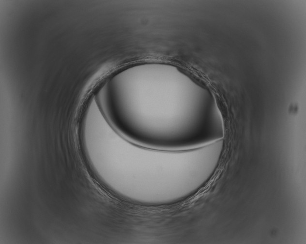 X0000097840197200803140842