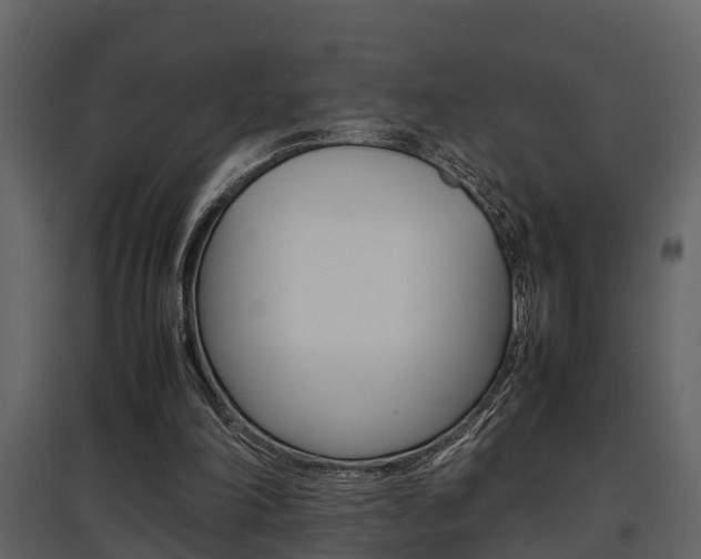 X0000097840198200803140842