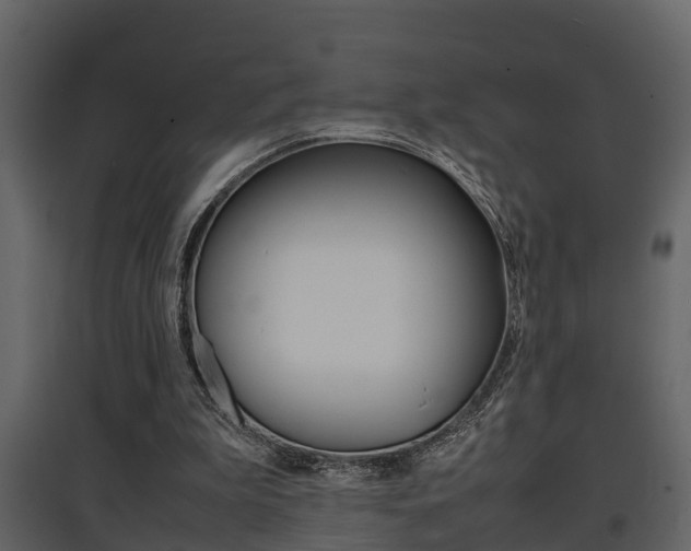 X0000097840199200803140842
