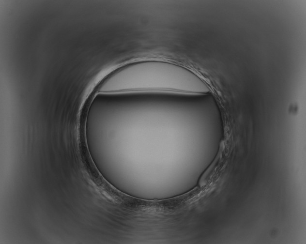 X0000097840200200803140842