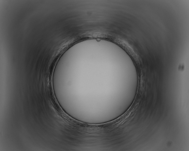 X0000097840202200803140842