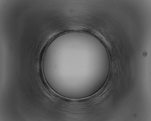 X0000097840203200803140842