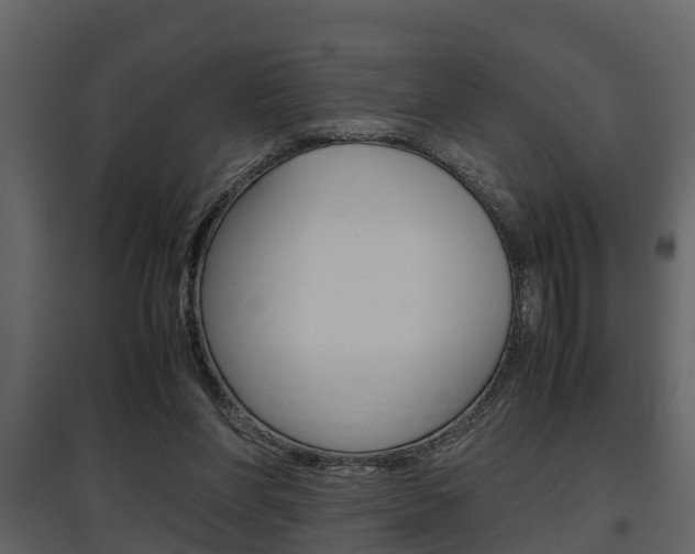 X0000097840206200803140842