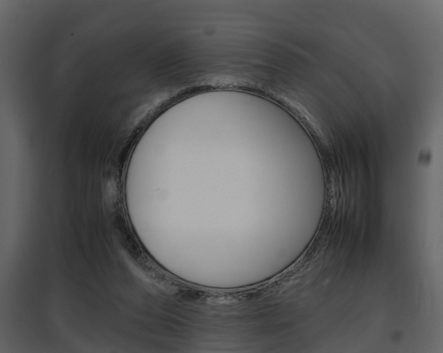 X0000097840208200803140842