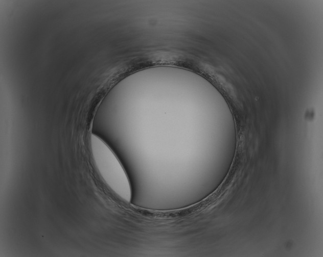 X0000097840209200803140842
