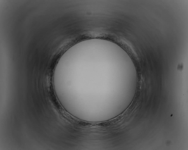 X0000097840210200803140842