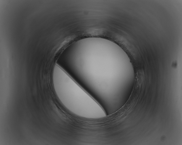 X0000097840212200803140842