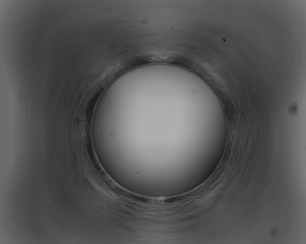 X0000097840215200803140842