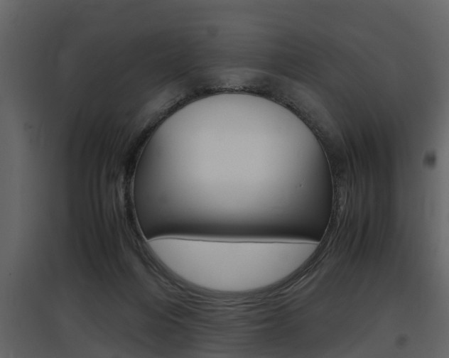 X0000097840216200803140842