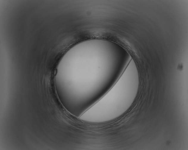 X0000097840217200803140842