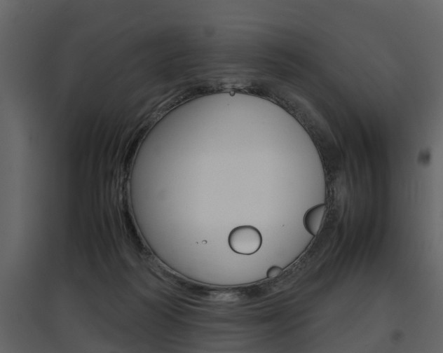 X0000097840218200803140842