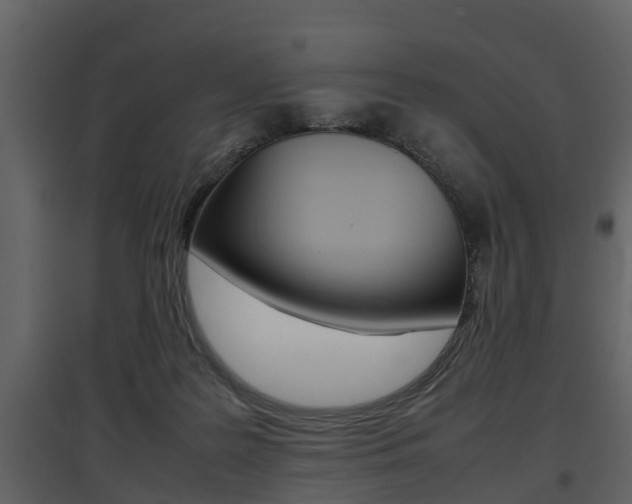 X0000097840219200803140842