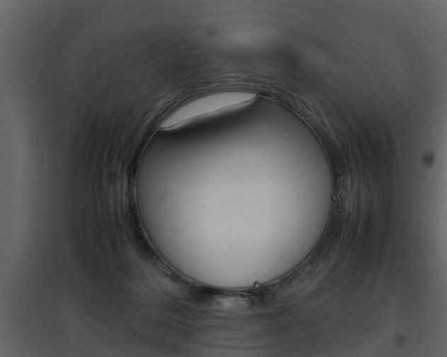 X0000097840220200803140842