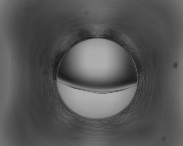 X0000097840221200803140842