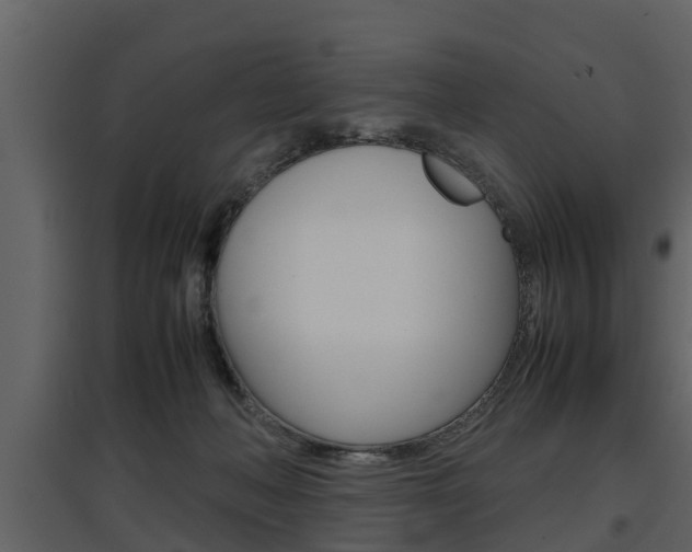 X0000097840222200803140842