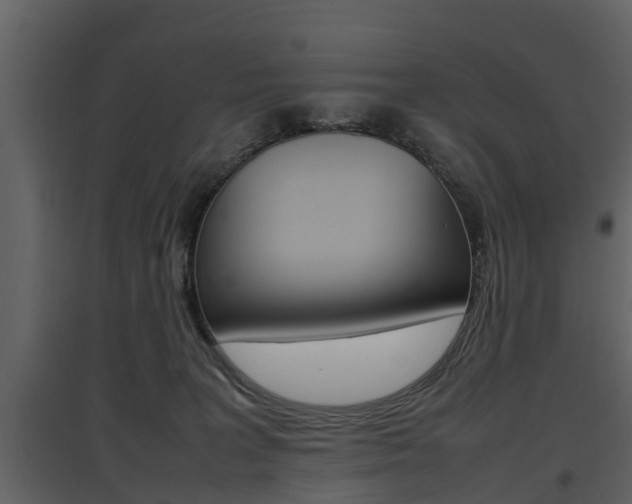 X0000097840227200803140841