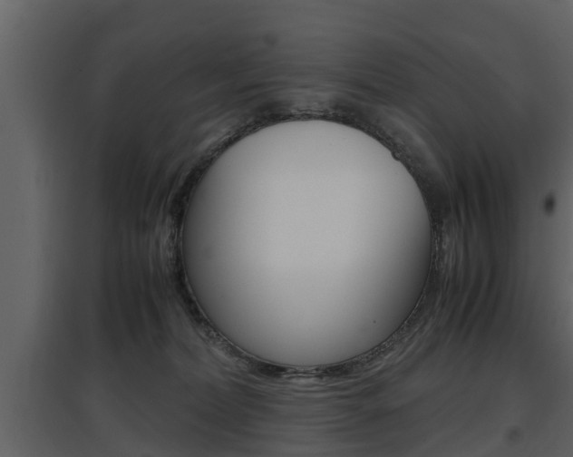 X0000097840228200803140841