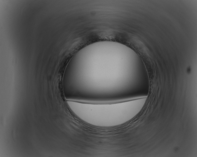 X0000097840229200803140841