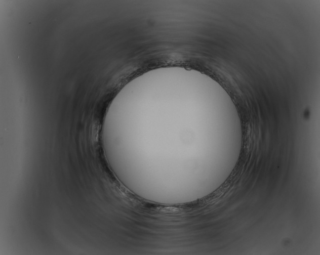 X0000097840230200803140841