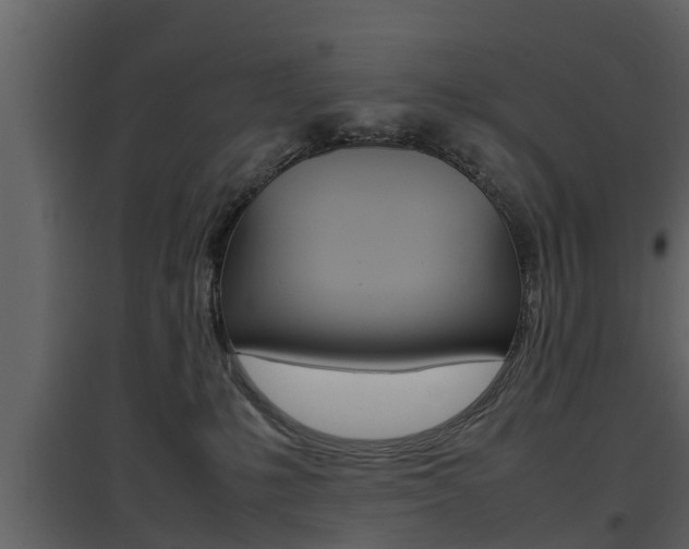 X0000097840231200803140841