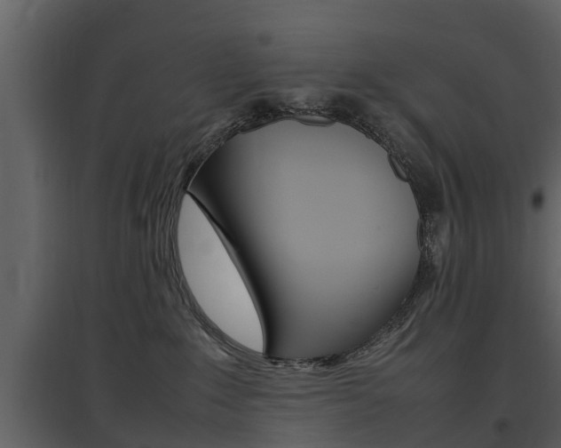 X0000097840235200803140841