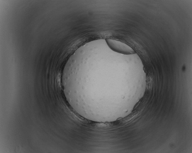 X0000097840238200803140841