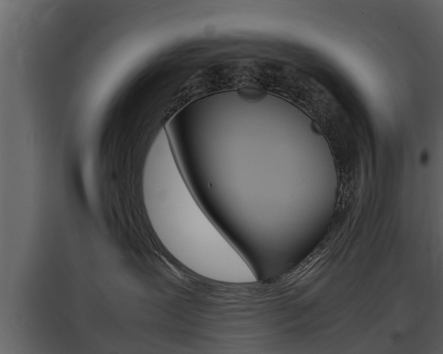 X0000097840239200803140841