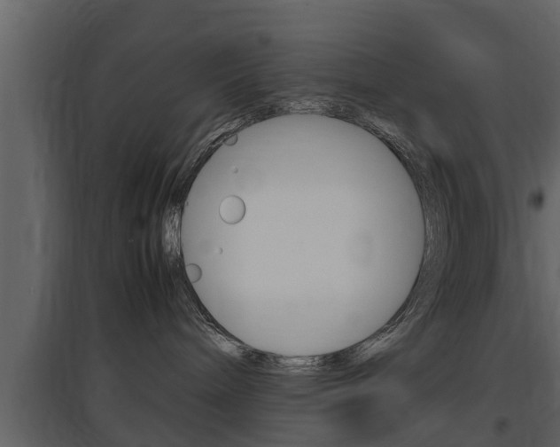 X0000097840240200803140841
