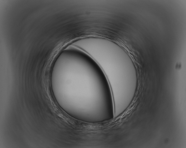 X0000097840241200803140840