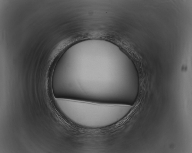 X0000097840242200803140840