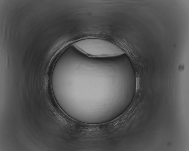 X0000097840243200803140840