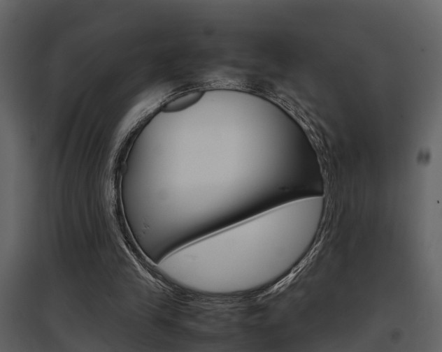 X0000097840245200803140841