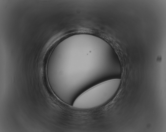 X0000097840247200803140841