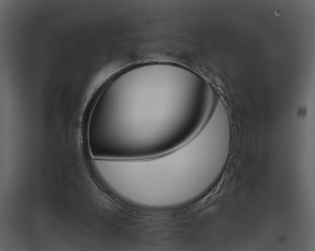 X0000097840248200803140841