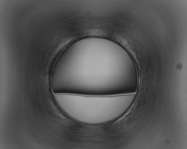 X0000097840249200803140841