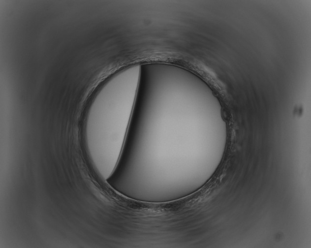X0000097840250200803140841
