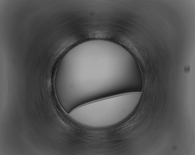 X0000097840251200803140841