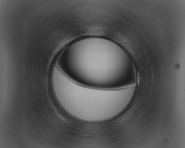X0000097840252200803140841