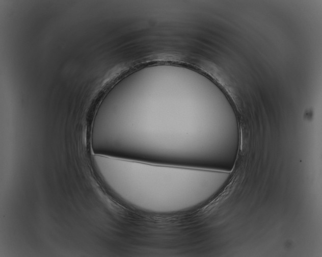 X0000097840253200803140841