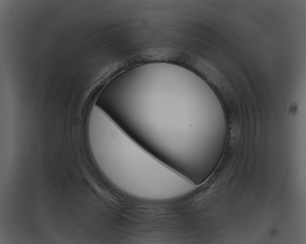 X0000097840254200803140841