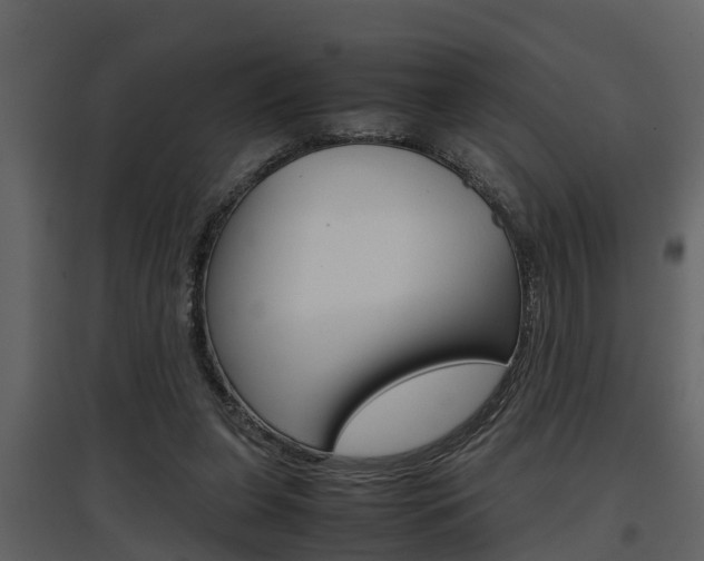 X0000097840255200803140841