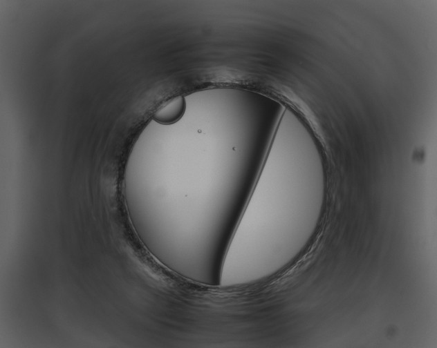 X0000097840257200803140841