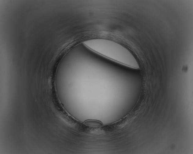 X0000097840258200803140841