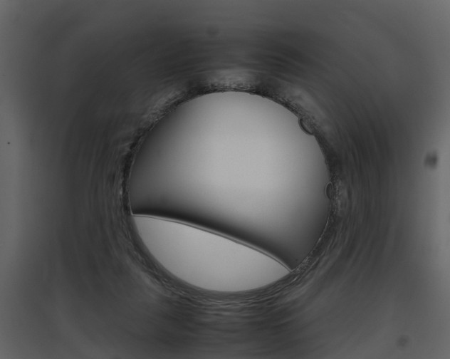 X0000097840259200803140841
