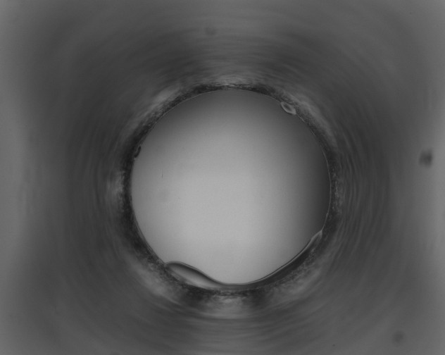 X0000097840260200803140841
