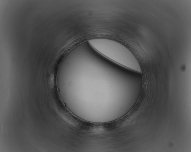 X0000097840262200803140841